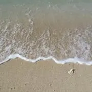 みにすの画像