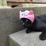 Miの画像