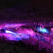 りんの画像