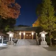 カーブの画像