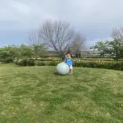 だいかわの画像