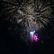 Aya20