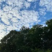 morenaの画像