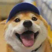 Nicoの画像