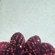 なちゅ