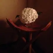 やまももの画像
