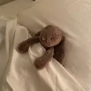 Rの画像