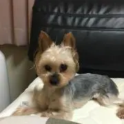 けいちゃんの画像