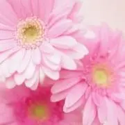 なりの画像