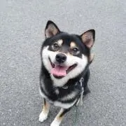 みさこ