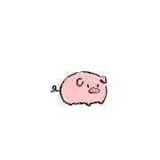 Pの画像