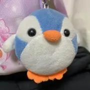 挑戦者