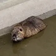 ゆーちゃん☆の画像