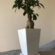 ナポリの画像