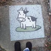 Harukaの画像