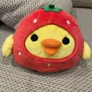 たろちゃんの画像