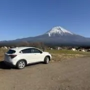 元気100%の画像