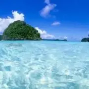 もりりの画像