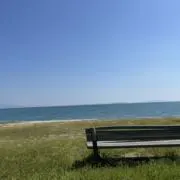 Sunflowerの画像