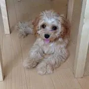 なちゅ