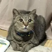 なつきの画像