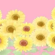 Riccaの画像