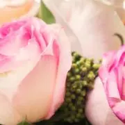 ジミなー【プロフ必読❤️お値引き歓迎】