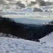 マカロニグラタンの画像