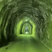 ボブの画像