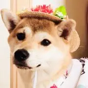 なぁな