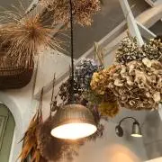 RIA*の画像