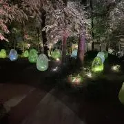 ゆりぞねすの画像