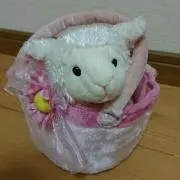 まっきいの画像