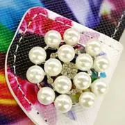 Sappi◎