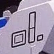 ゼフィランサスの画像