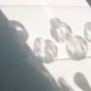 omo