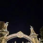 Rの画像