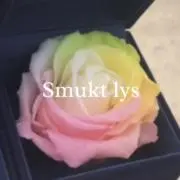 Smukt lys＊Shopsにお引越中