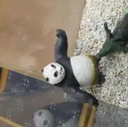Mr Mの画像