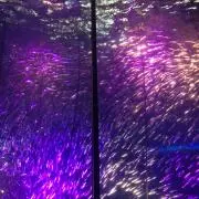 きりぞう