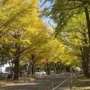 さおりの画像