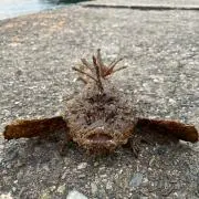 hiroの画像