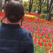 ももの画像