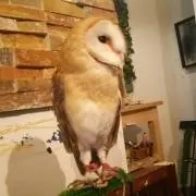 かずきの画像