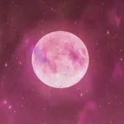 MAYUKAの画像