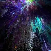 ごまの画像