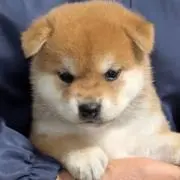 おゆ