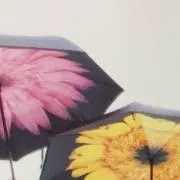 門