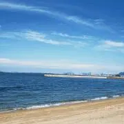 たままの画像