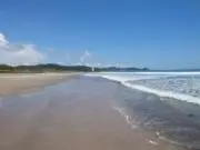 フリーズピーチの画像